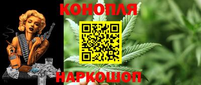 гидра Краснодар
