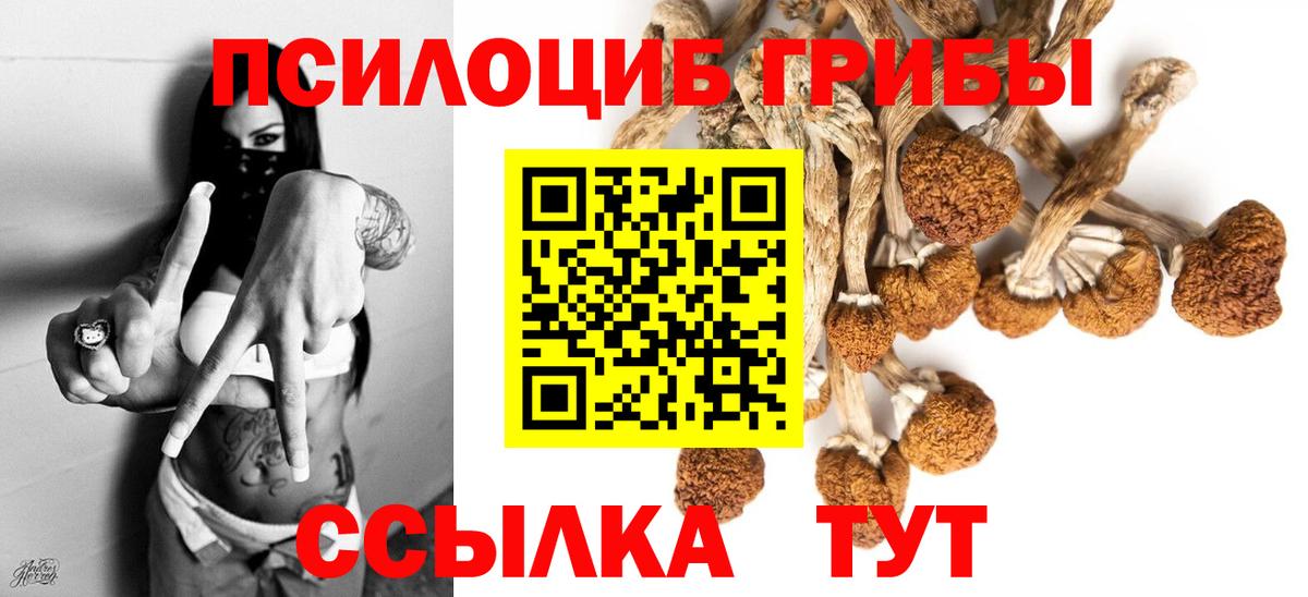 Галлюциногенные грибы прущие грибы Ярцево