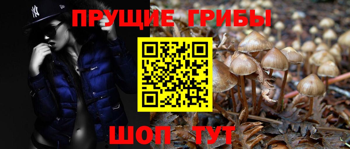 Ярцево  Псилоцибиновые грибы мухоморы  Вход с VPN  Галлюциногенные грибы Psilocybine cubensis 